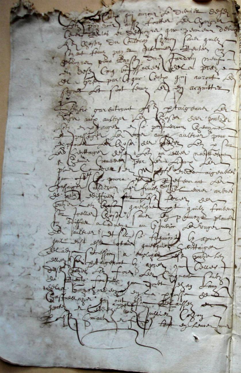 Cohon-G_1615 (14).JPG